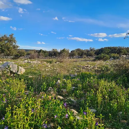 Apartmán Rubus - Stivan, Cres - 900 M To Merascica
