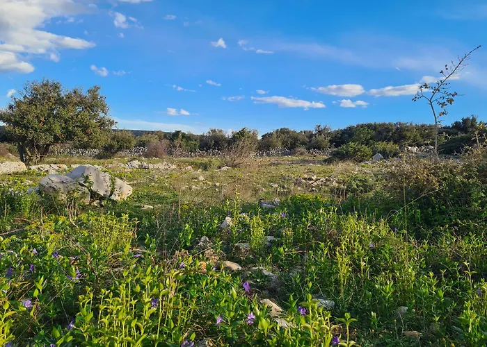 Appartamento Rubus - Stivan, Cres - 900 M To Merascica