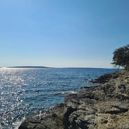 Rubus - Stivan, Cres - 900 M To Merascica * Štivan